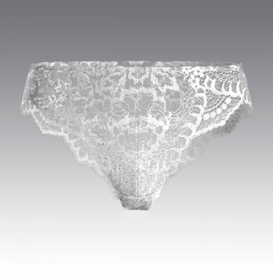 Слипы из кружева Шантильи 4045.23 ARDI белый