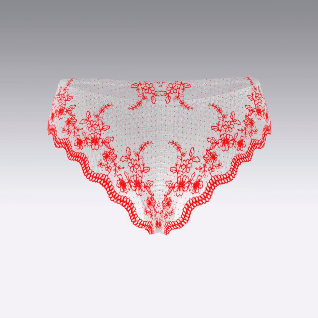 Трусы-слипы с вышивкой 2950.23 ARDI белый